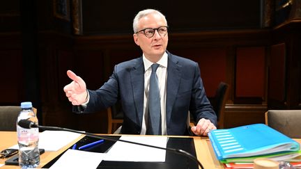 Bruno Le Maire, ancien ministre de l'Economie, lors d'une audition au Sénat, le 7 novembre 2024. (BERTRAND GUAY / AFP)