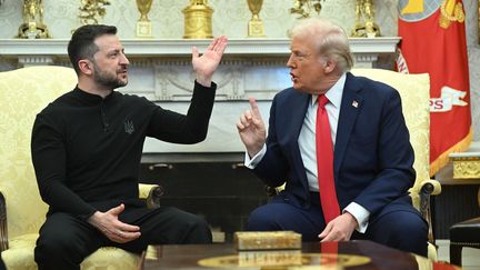 La séquence tendue, à la Maison Blanche, entre Donald Trump et Volodymyr Zelensky. (SAUL LOEB / AFP)