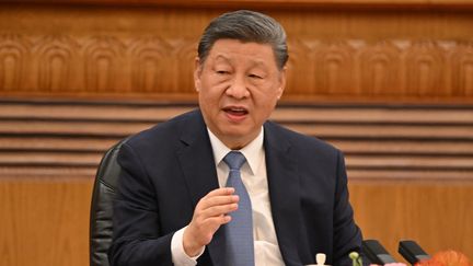 Le président chinois Xi Jinping lors d'une réunion à Pekin (Chine), le 28 mars 2025. (ADEK BERRY / AFP)