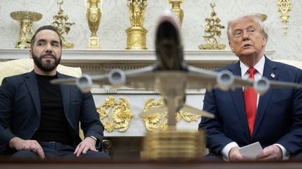 Les présidents salvadorien et américain, Nayib Bukele et Donald Trump, à la Maison Blanche, aux Etats-Unis, le 14 avril 2025. (BRENDAN SMIALOWSKI / AFP)