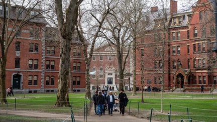 Le campus de Harvard, à Cambridge (Massachusetts), le 15 avril 2025. (JOSEPH PREZIOSO / AFP)