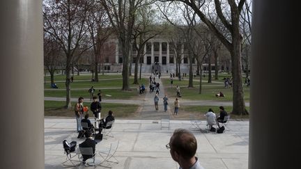 Le campus de l'université d'Harvard, à Cambridge, dans le Massachusetts, le 18 avril 2025. (MOSTAFA BASSIM / ANADOLU / AFP)