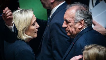 Marine Le Pen, cheffe de file des députés RN, et François Bayrou, Premier ministre, échangent à l'Assemblée nationale, à Paris, le 21 janvier 2025. (XOSE BOUZAS / HANS LUCAS / AFP)