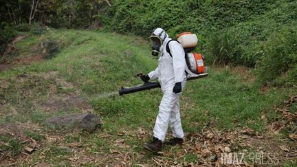 Le pic de l’épidémie de chikungunya est prévu mi-avril à La Réunion. (Imaz Press)