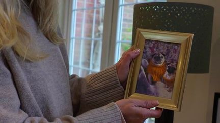 Animaux : le clonage, interdit en Europe, séduit néanmoins de nombreux maîtres (France 2)