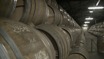 Droits de douane américains : coup dur pour la filière du cognac en Charente (France 2)
