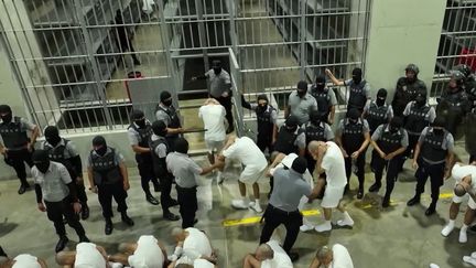 Samedi 15 mars, le président américain Donald Trump a ordonné l'expulsion de 200 membres présumés d'un gang vénézuélien vers une prison de haute sécurité au Salvador. (France 2)