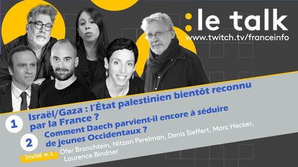 Les invité.es du Talk de franceinfo répondent en direct aux viewers dans le tchat. (FRANCEINFO / RADIO FRANCE)