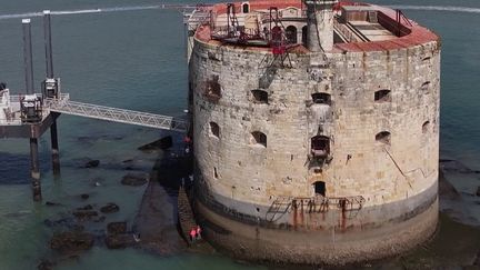 Fort Boyard : un trésor à sauver (France 2)