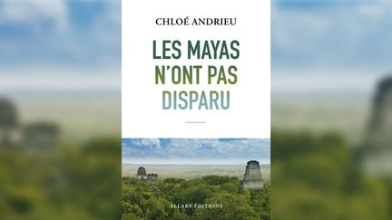 "Les Mayas n'ont pas disparu" démonte la vision européenne fantasmée de l'histoire de ce peuple d'Amérique centrale. (CHLOÉ ANDRIEU / ALLARY EDITIONS)