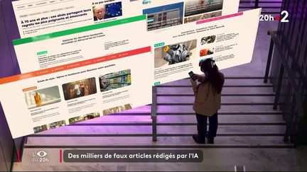 Des milliers de faux articles rédigés par l'IA (Oeil du 20H)