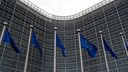 Le siège de la Commission européenne, à Bruxelles (Belgique), le 15 octobre 2020. (MARTIN BERTRAND / HANS LUCAS / AFP)