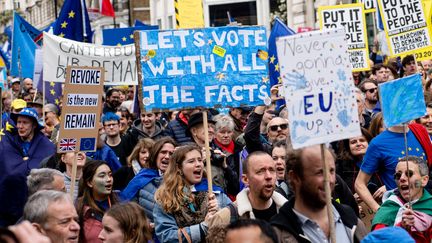 Des partisans du "remain" manifestent dans le centre de Londres le 23 mars 2019. (NIKLAS HALLE'N / AFP)